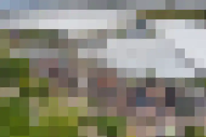 Nieuweweg 70 Honselersdijk thumbnail 38