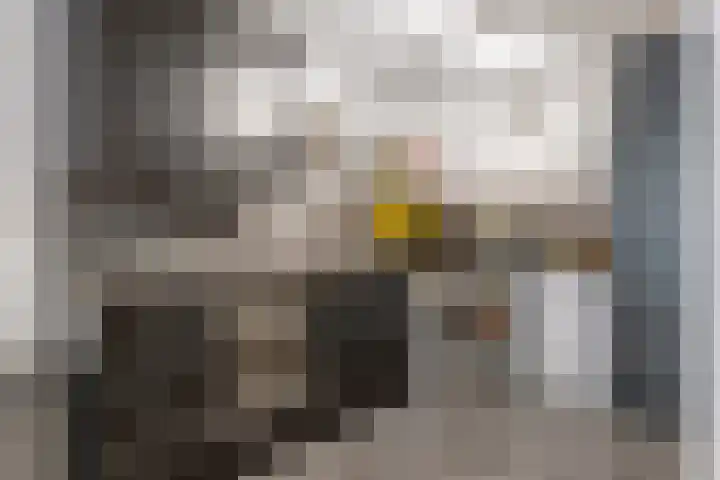Nieuweweg 74 Tiel thumbnail 10