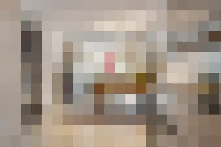 Nieuweweg 74 Tiel thumbnail 12