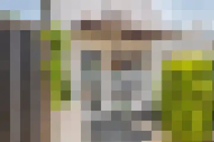 Nieuweweg 74 Tiel thumbnail 4