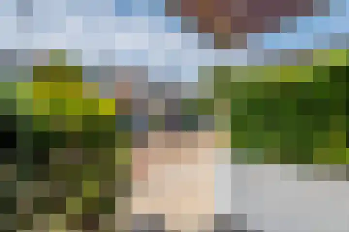 Nieuweweg 74 Tiel thumbnail 5
