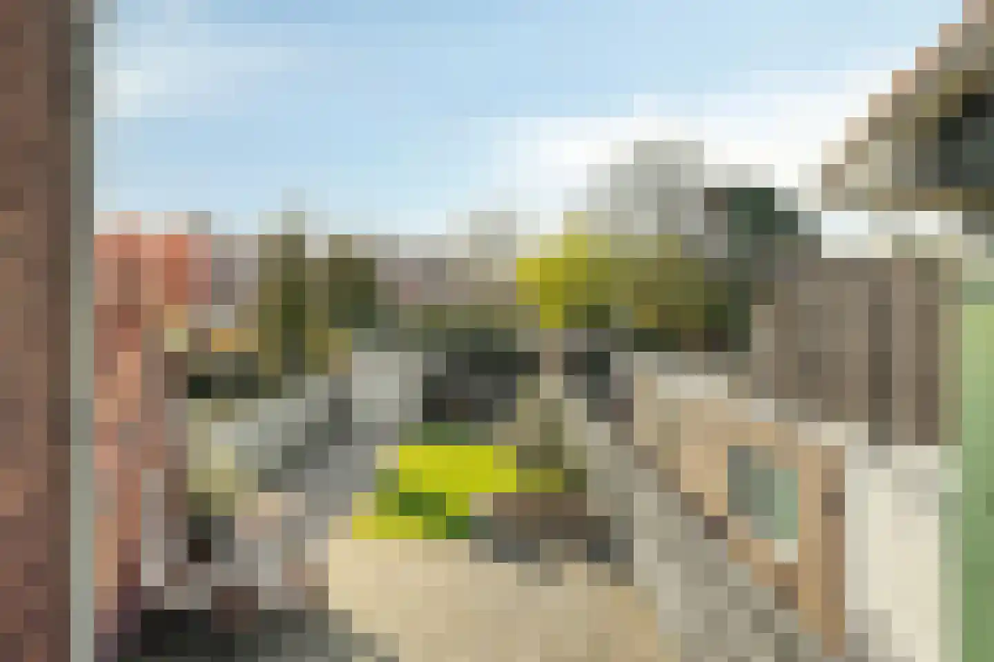 Nieuweweg 75 Veenendaal thumbnail 28