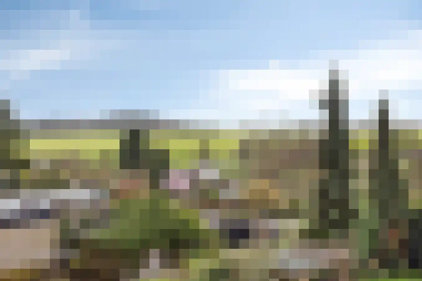 Nieuweweg 78 B Valkenburg thumbnail 23