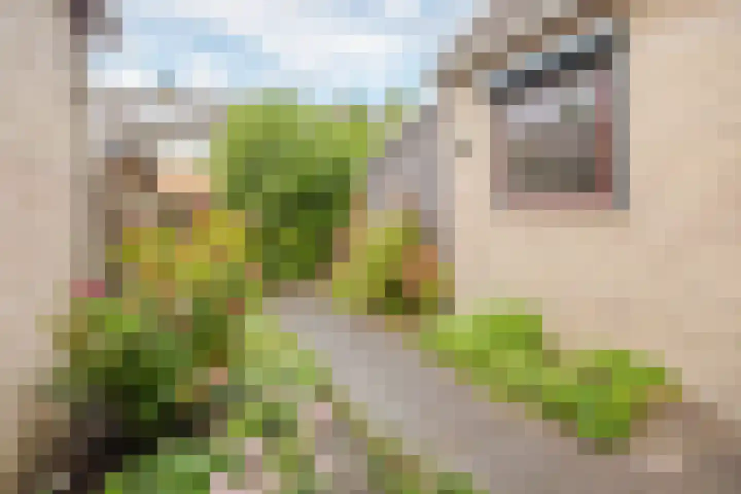 Nieuweweg 78 Hardinxveld-Giessendam thumbnail 4