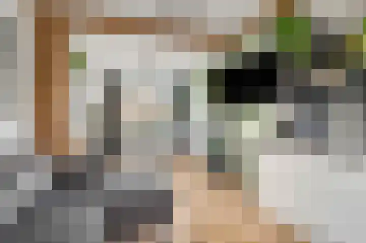 Nieuweweg 78 Tiel thumbnail 10