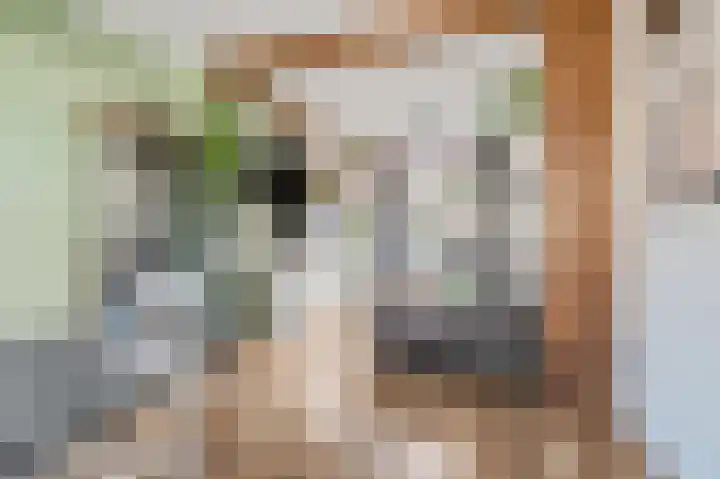 Nieuweweg 78 Tiel thumbnail 7