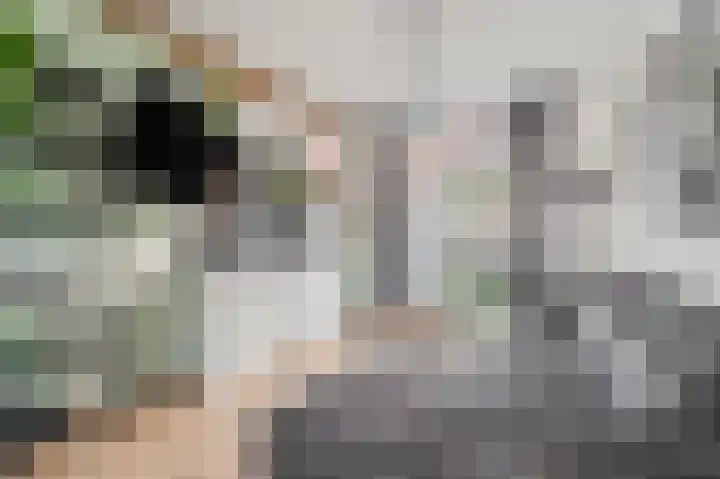 Nieuweweg 78 Tiel thumbnail 9