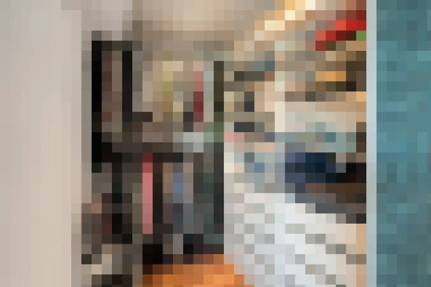 Nieuweweg 8 Anna Paulowna thumbnail 26