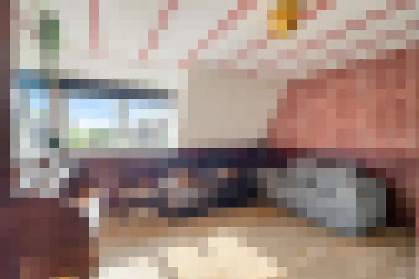 Nieuweweg 8 Anna Paulowna thumbnail 30