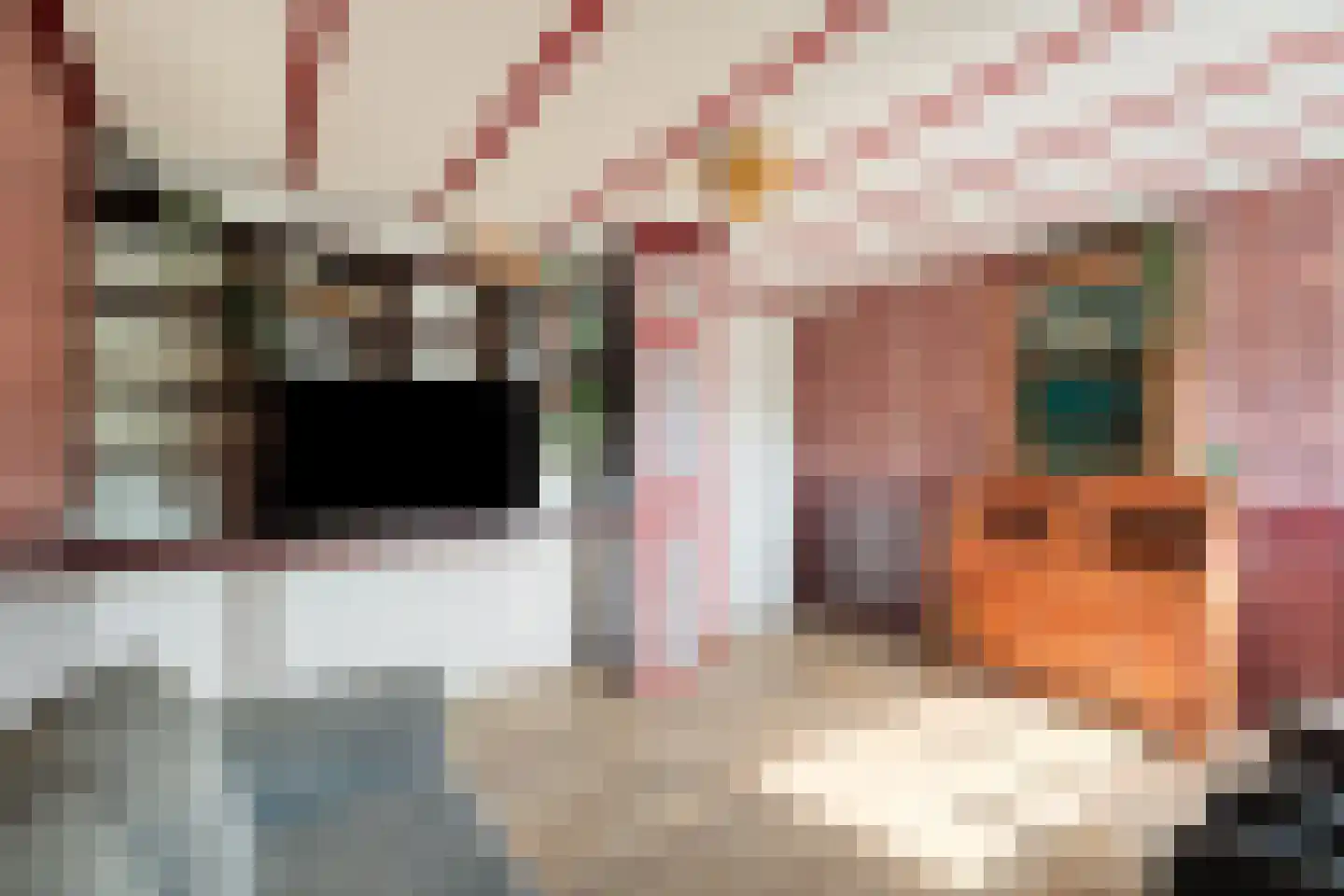 Nieuweweg 8 Anna Paulowna thumbnail 33
