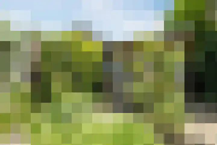 Nieuweweg 8 Gassel thumbnail 19