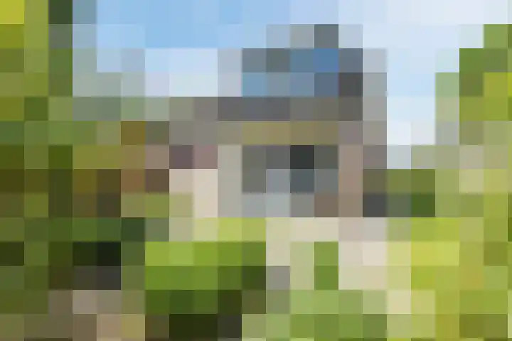 Nieuweweg 8 Gassel thumbnail 22