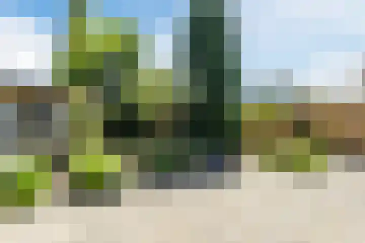 Nieuweweg 8 Gassel thumbnail 4