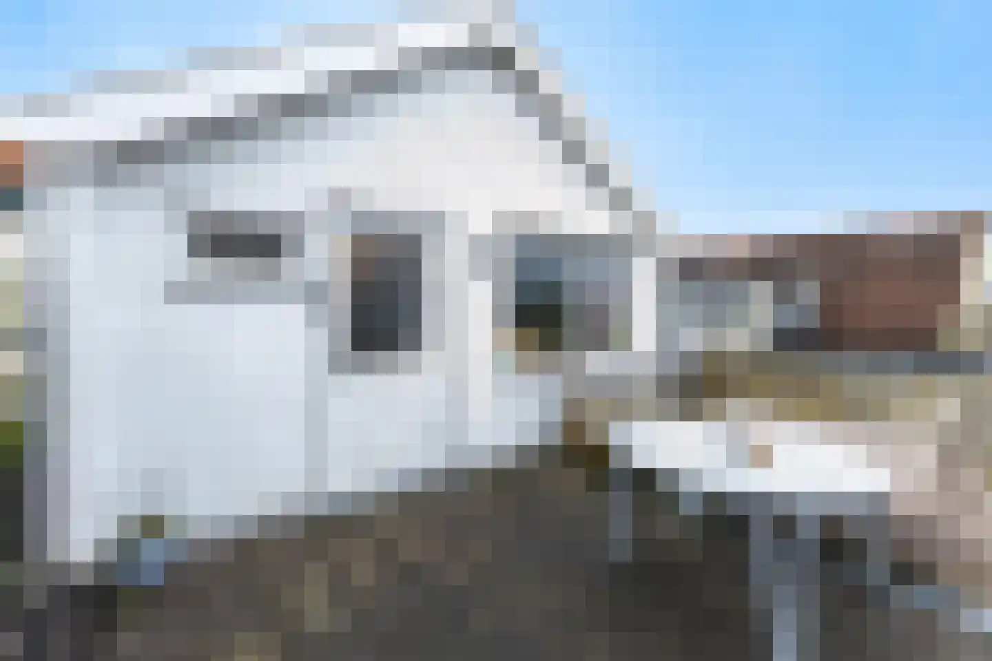 Nieuweweg 8 Hattem thumbnail 22