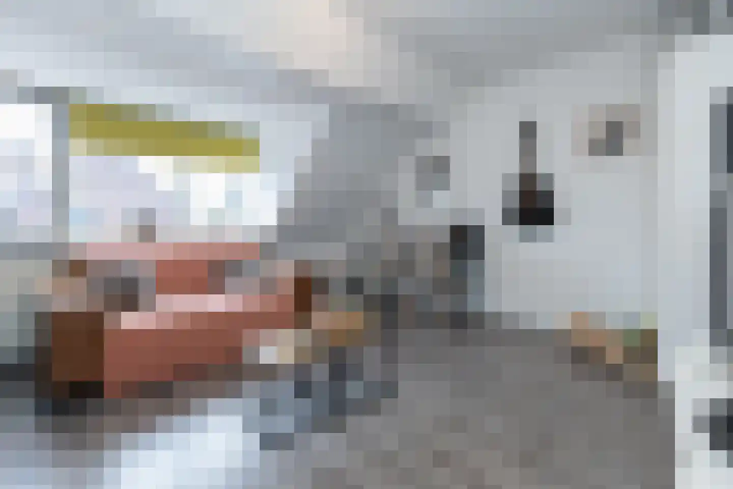 Nieuweweg 8 Hattem thumbnail 29