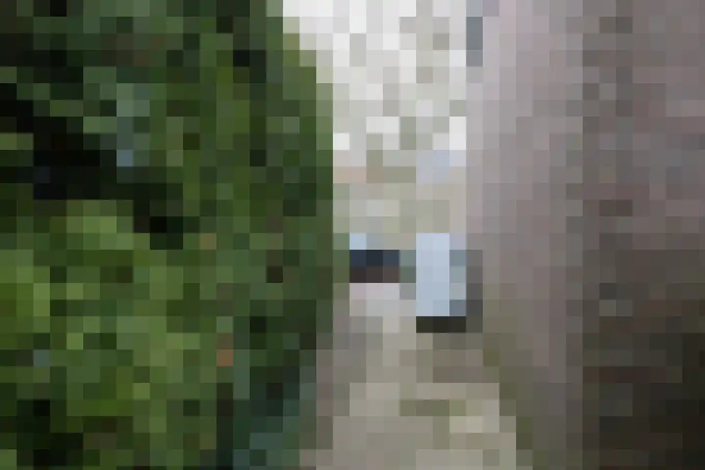 Nieuweweg 8 Hattem thumbnail 31