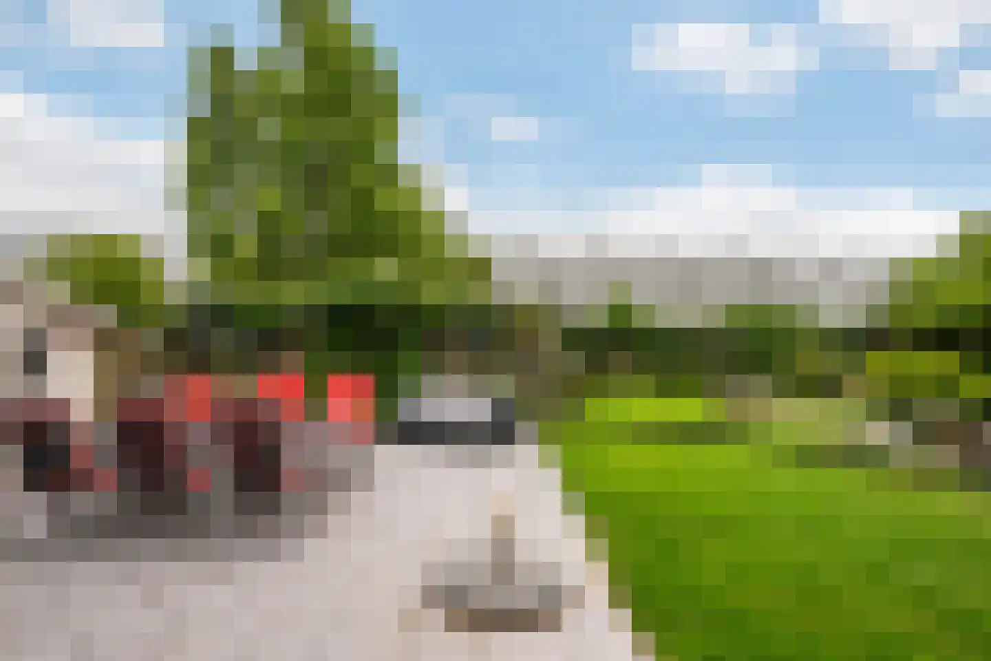 Nieuweweg 86 A Honselersdijk thumbnail 19