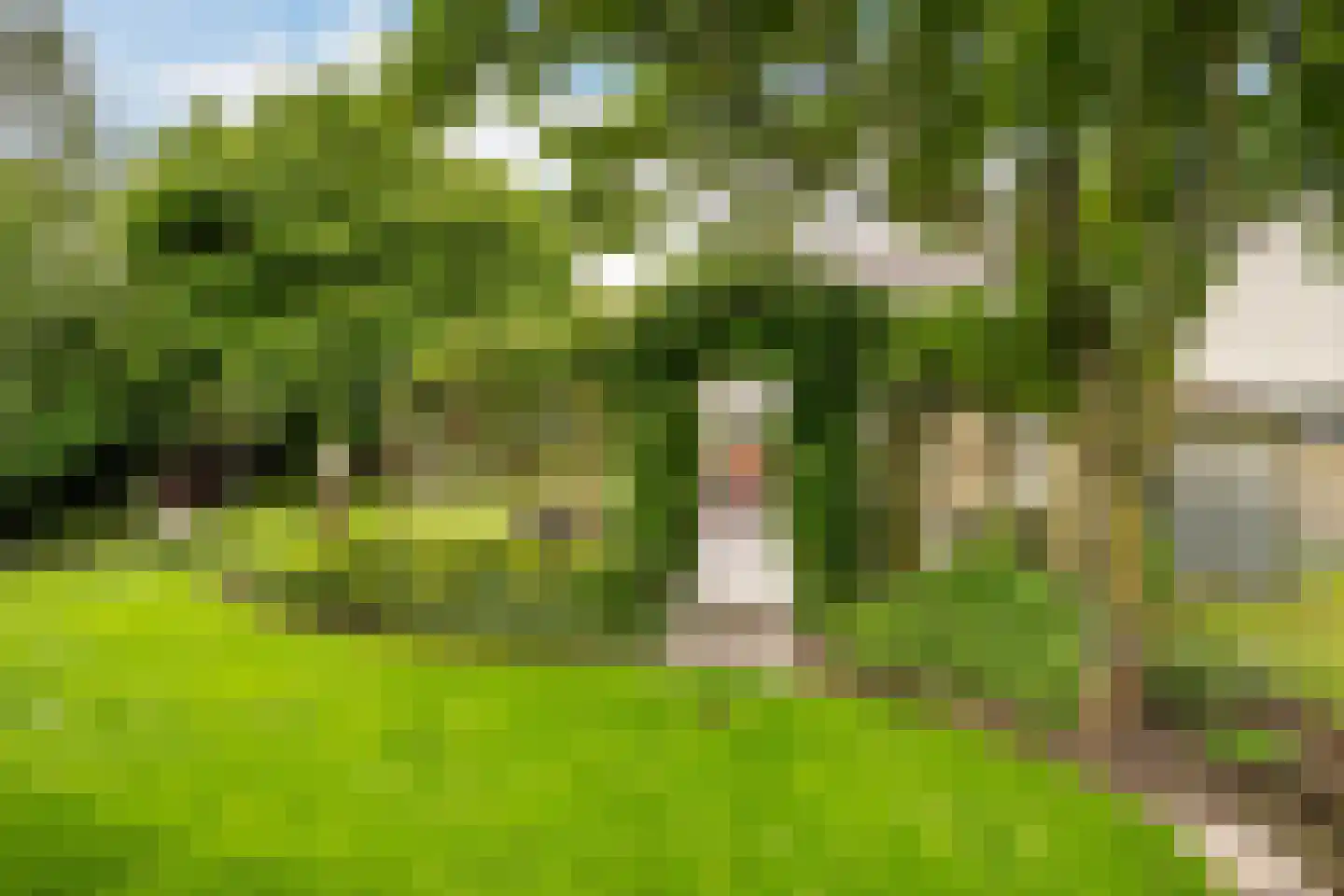 Nieuweweg 86 A Honselersdijk thumbnail 23