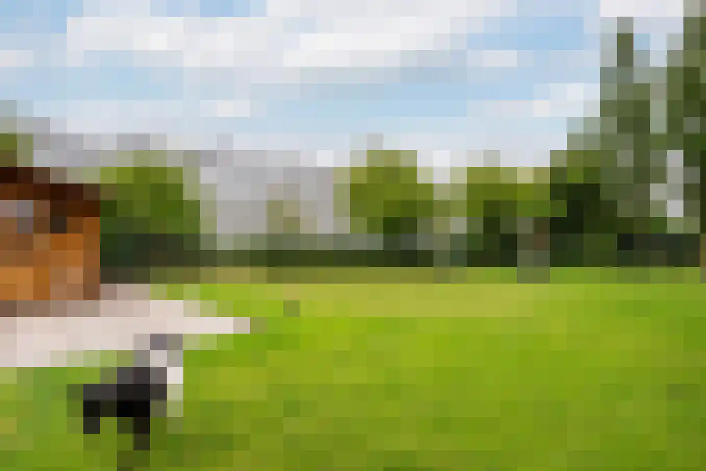 Nieuweweg 86 A Honselersdijk thumbnail 52
