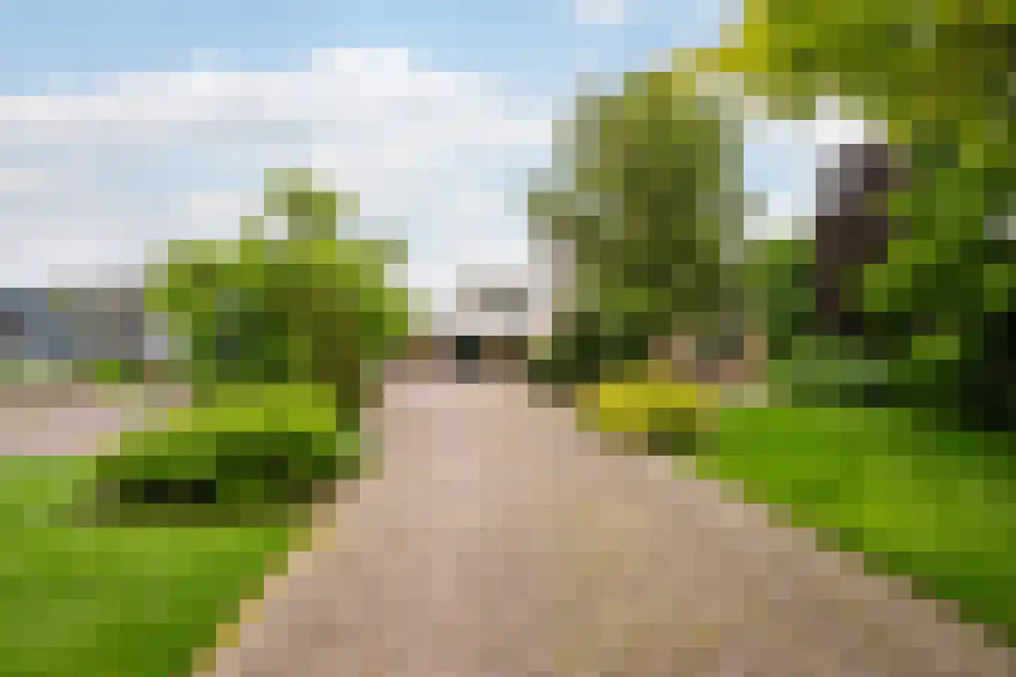 Nieuweweg 86 A Honselersdijk thumbnail 54