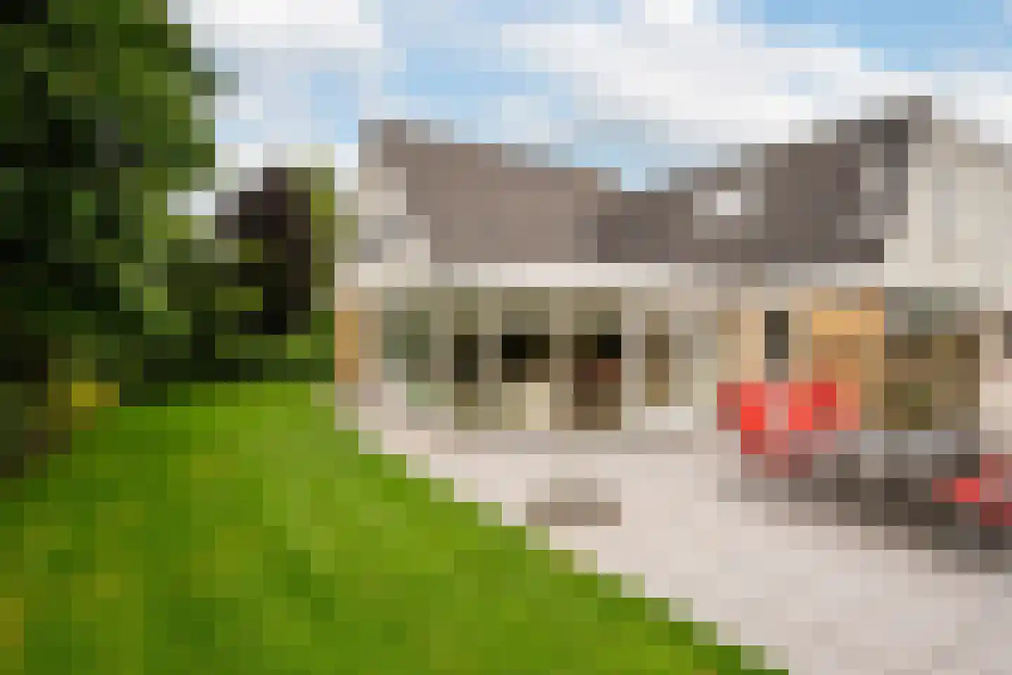 Nieuweweg 86 A Honselersdijk thumbnail 7