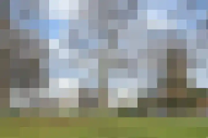 Nieuweweg 86 Veenendaal thumbnail 34