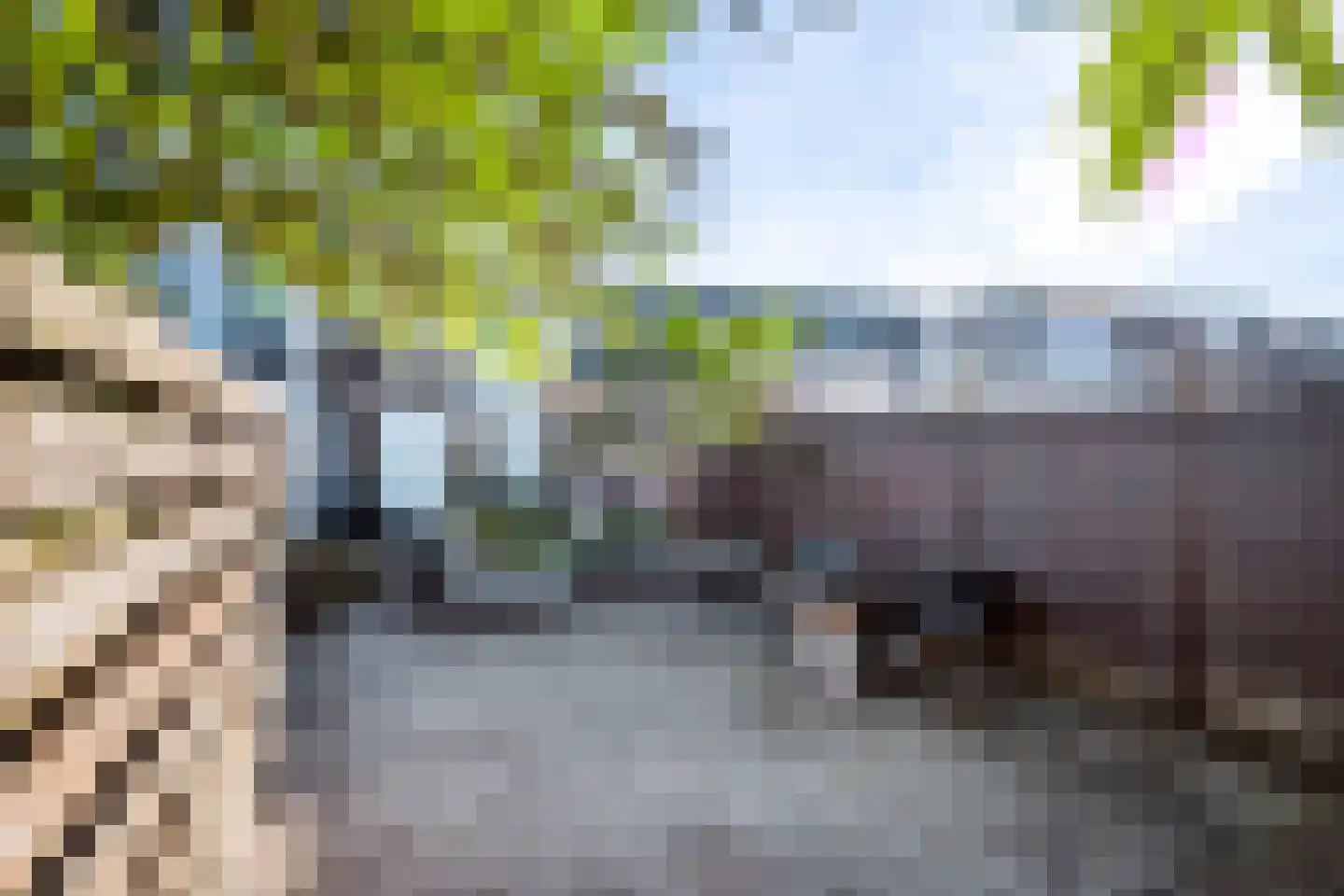 Nieuweweg 89 Tiel thumbnail 31