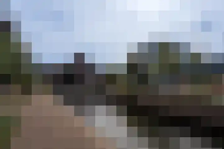 Nieuweweg 9 Breda thumbnail 22
