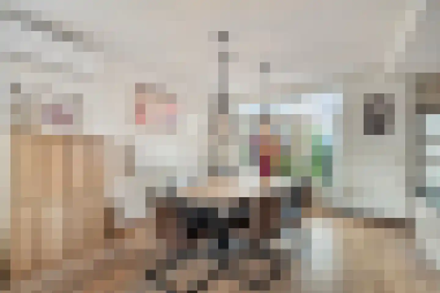 Nieuweweg 97 Anna Paulowna thumbnail 11