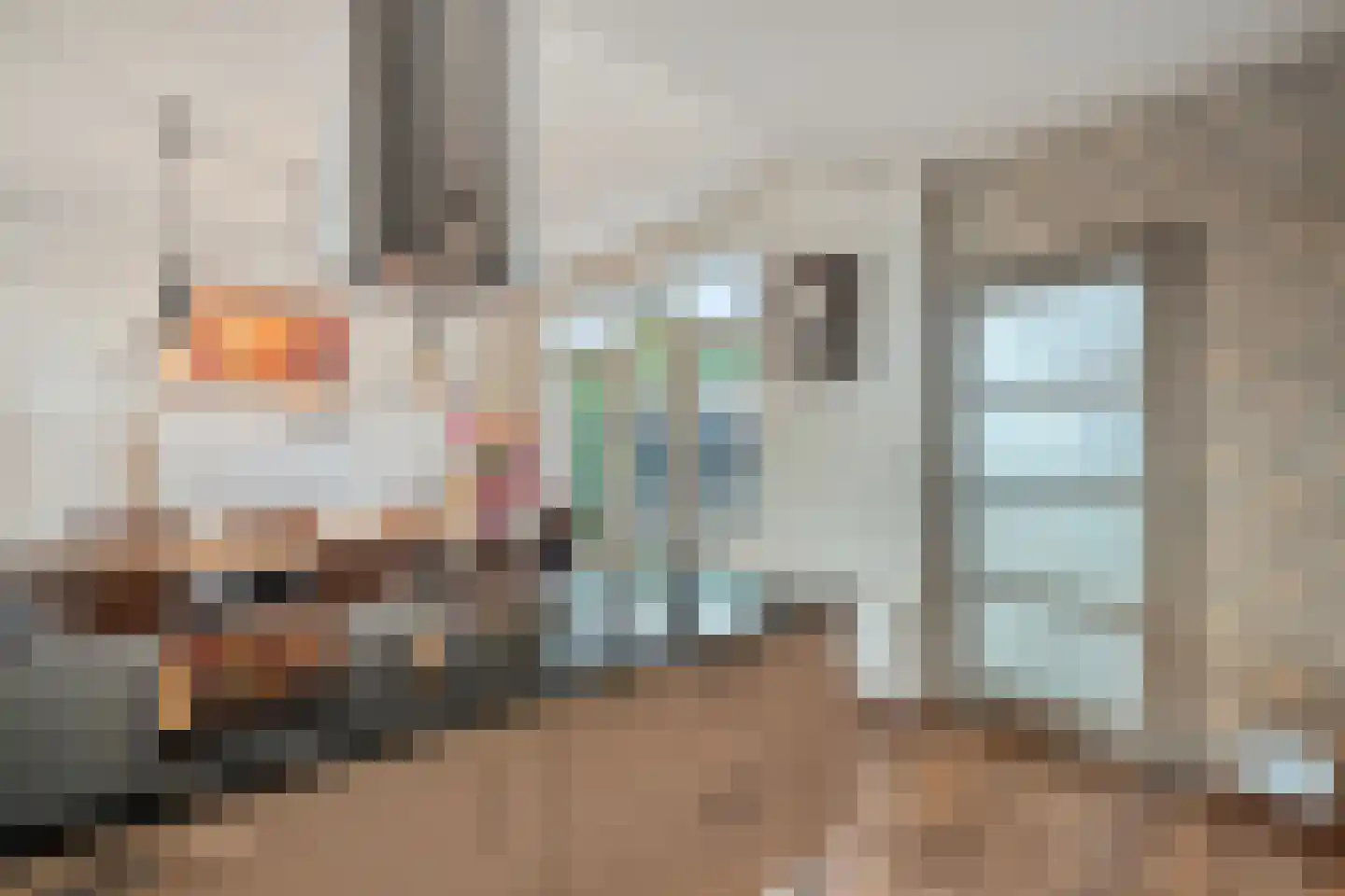 Nieuweweg 97 Anna Paulowna thumbnail 14