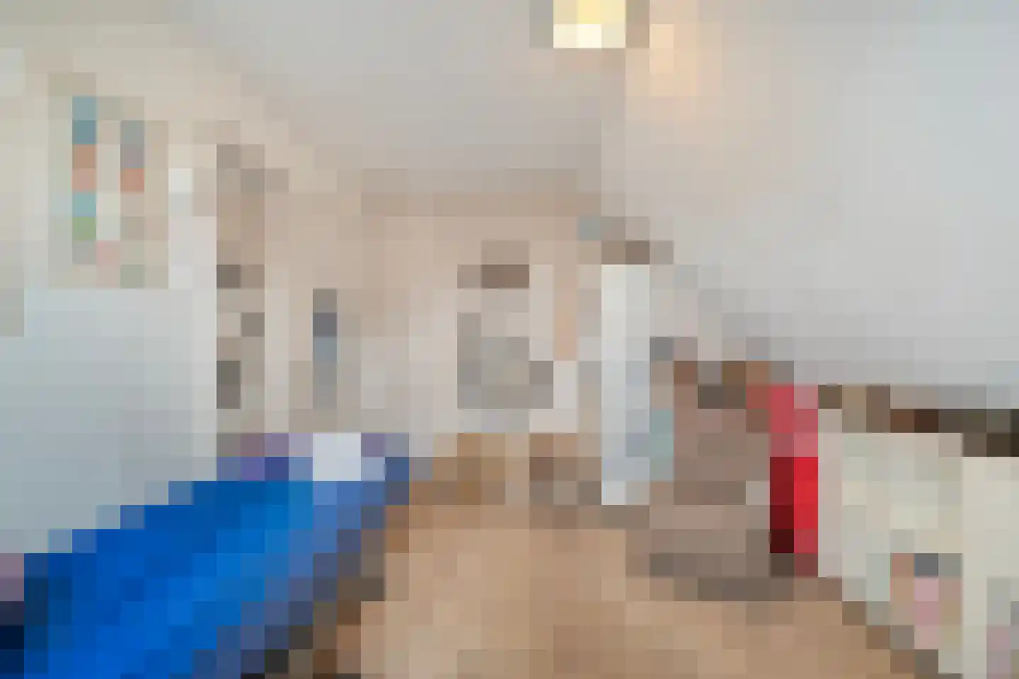 Nieuweweg 97 Anna Paulowna thumbnail 33