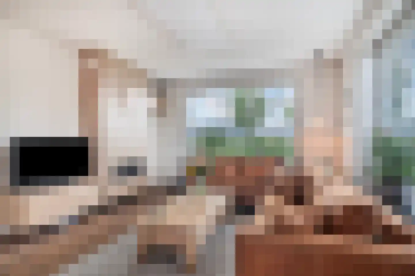 Nieuweweg 97 Anna Paulowna thumbnail 9