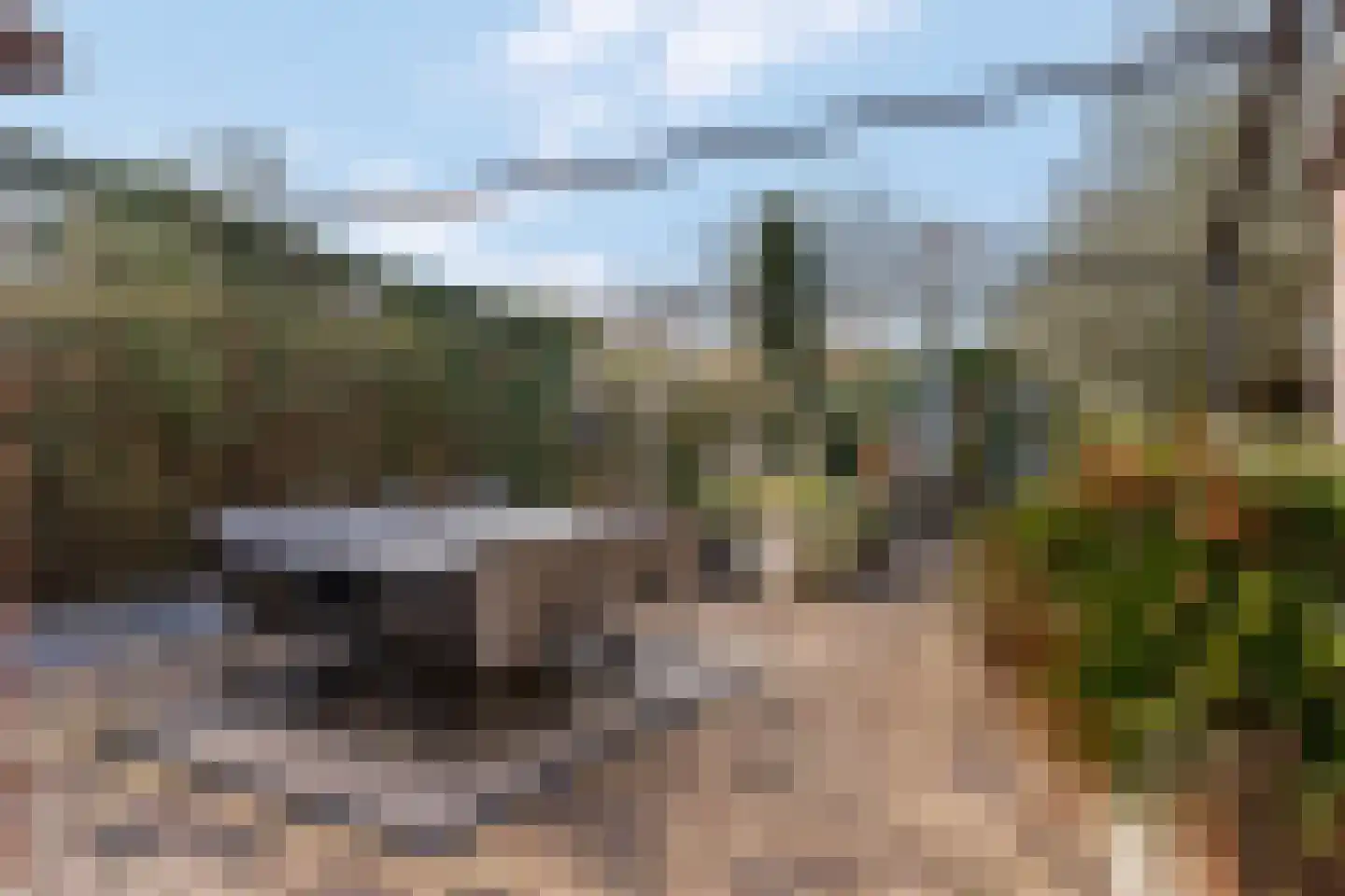 Nieuweweg 97 Veenendaal thumbnail 40