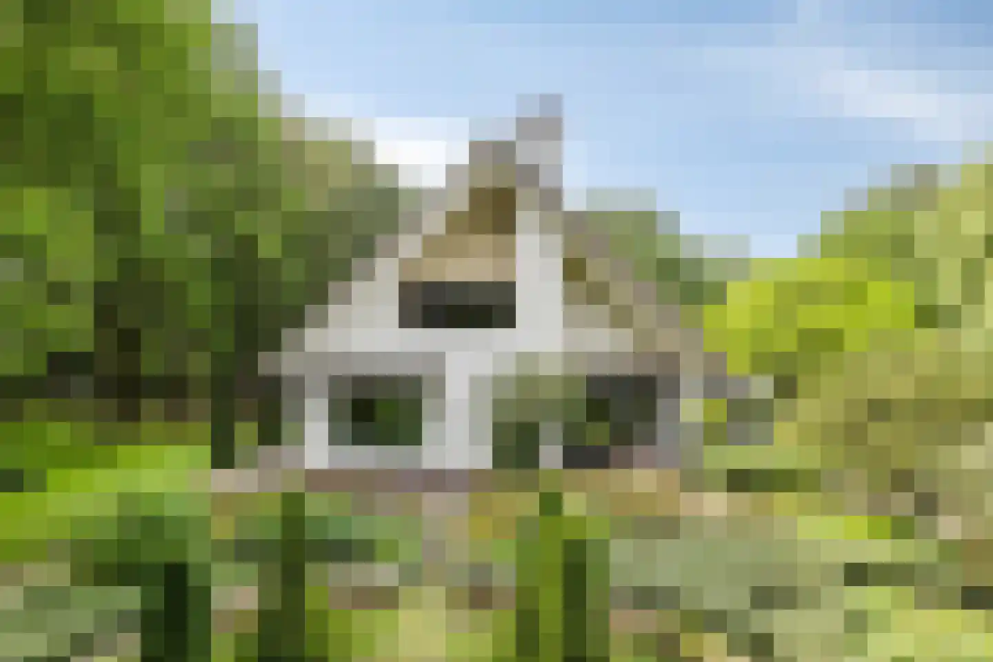 Nieuweweg-noord 271 Veenendaal thumbnail 14
