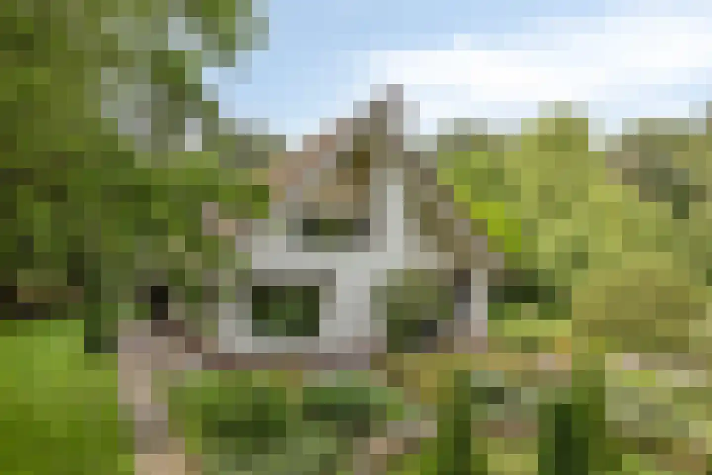 Nieuweweg-noord 271 Veenendaal thumbnail 15