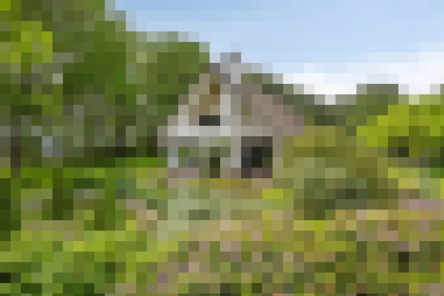Nieuweweg-noord 271 Veenendaal thumbnail 4