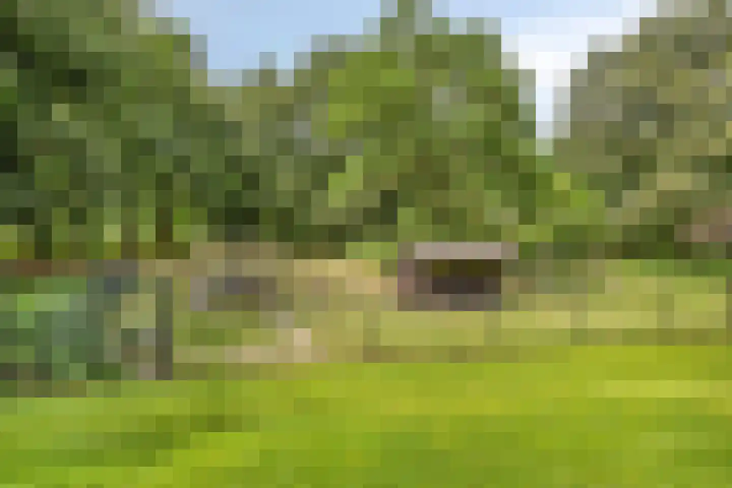 Nieuweweg-noord 271 Veenendaal thumbnail 68