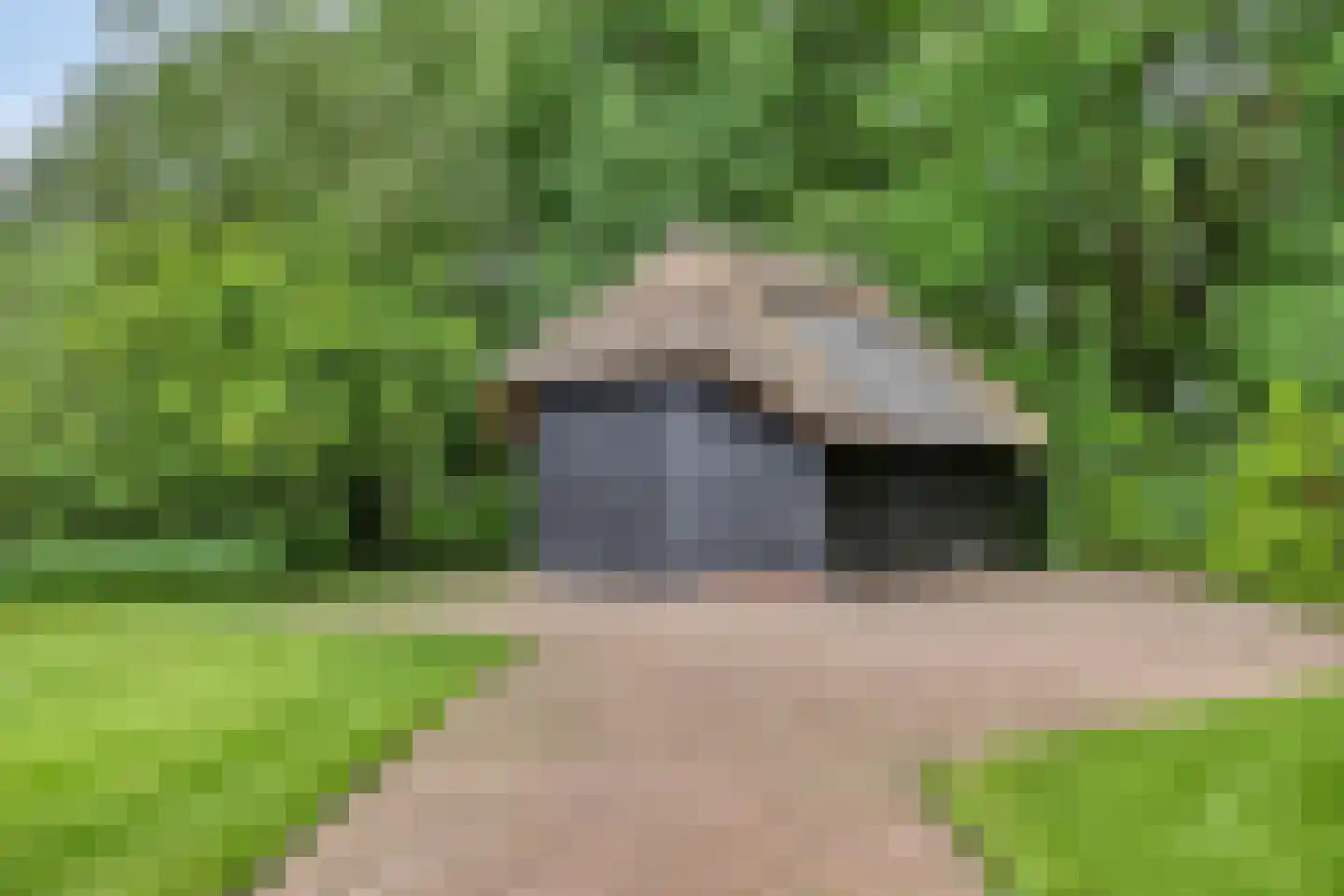 Nieuweweg-noord 271 Veenendaal thumbnail 78
