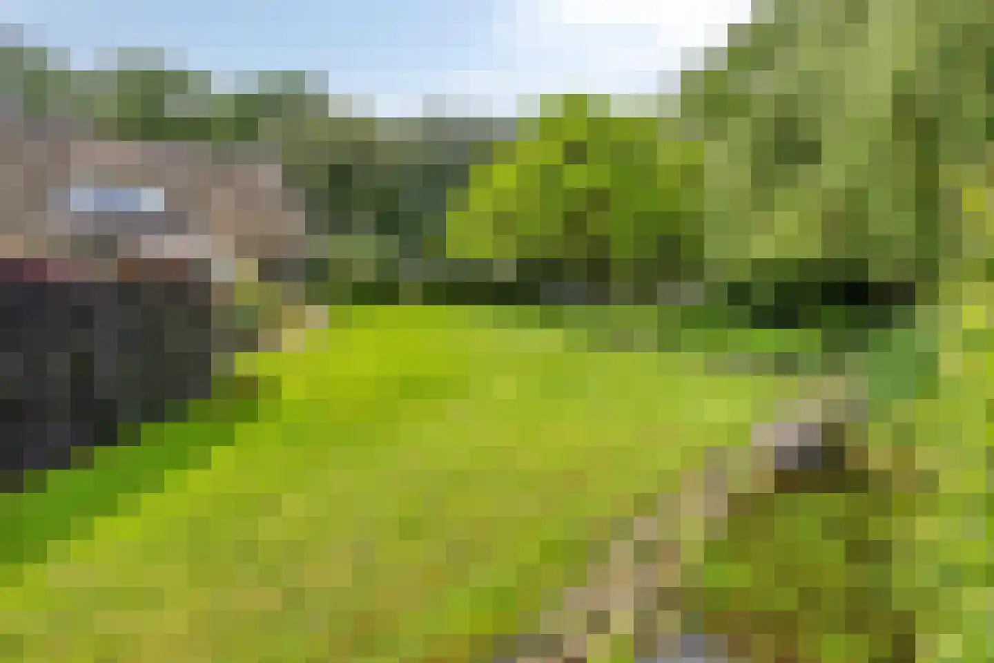 Nieuweweg-noord 271 Veenendaal thumbnail 83