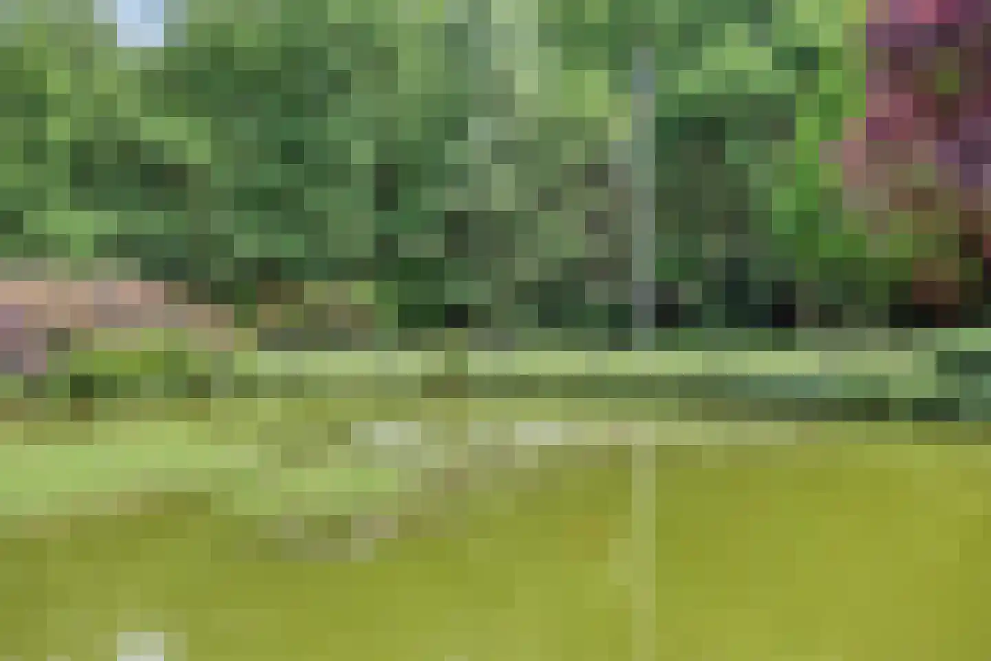 Nieuweweg-noord 271 Veenendaal thumbnail 84