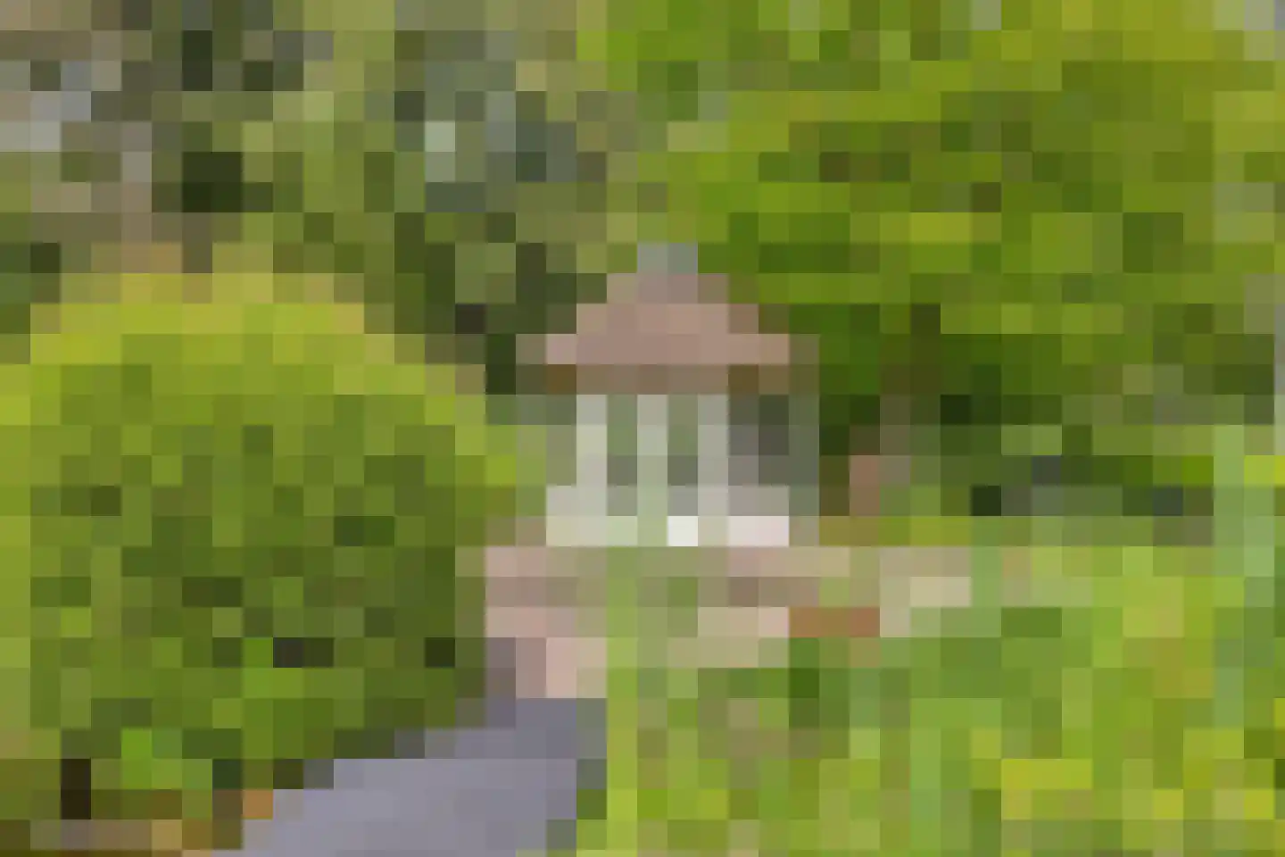 Nieuweweg-noord 271 Veenendaal thumbnail 85
