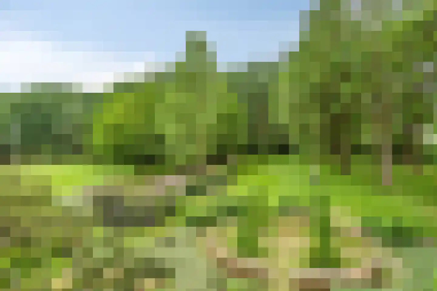 Nieuweweg-noord 271 Veenendaal thumbnail 87