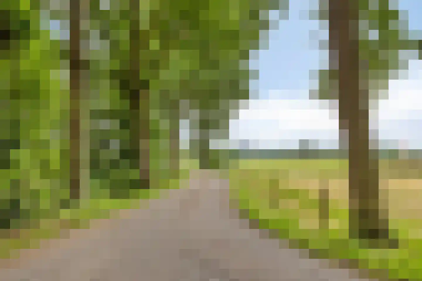 Nieuweweg-noord 271 Veenendaal thumbnail 88