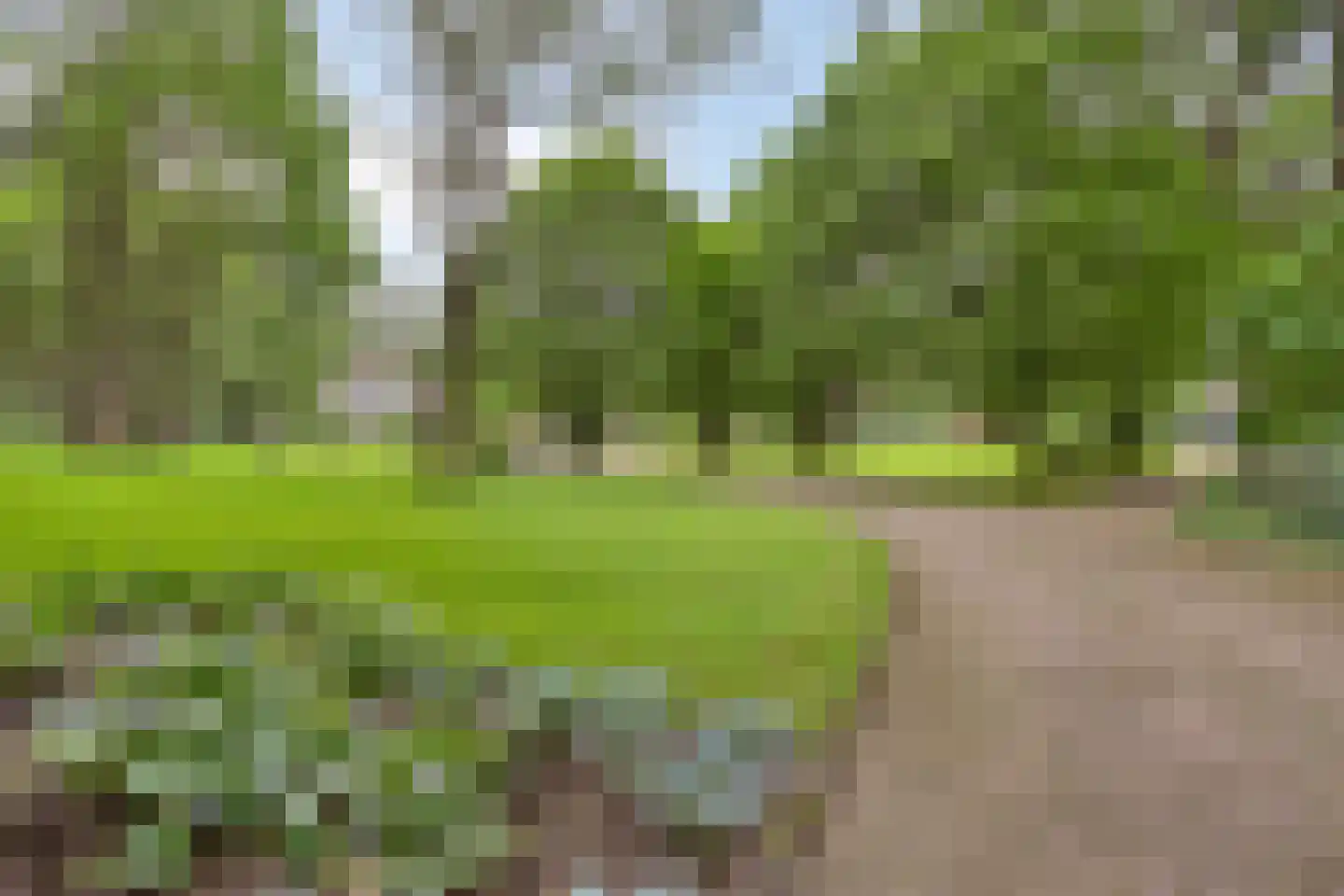 Nieuweweg-noord 271 Veenendaal thumbnail 9