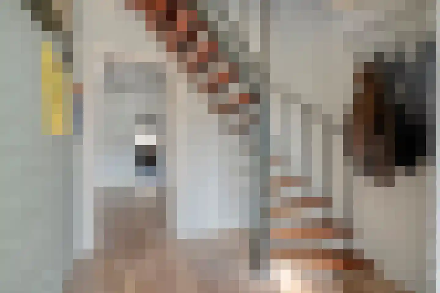 Nieuwewijk 51 a Dedemsvaart thumbnail 18