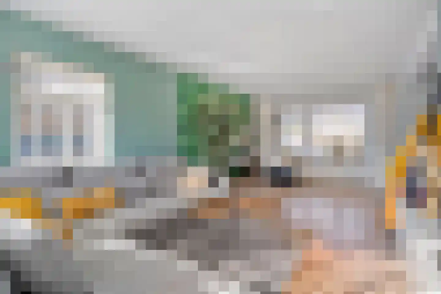 Nieuwewijk 51 a Dedemsvaart thumbnail 24