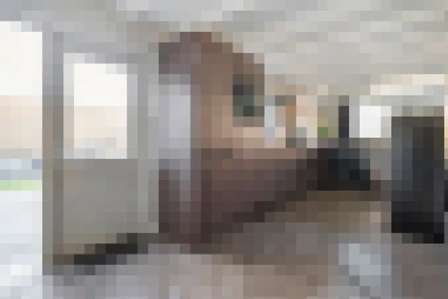 Nieuwewijk 51 a Dedemsvaart thumbnail 26