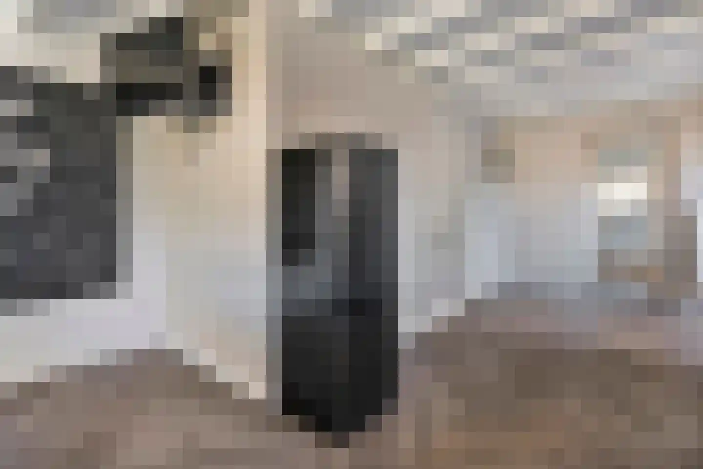 Nieuwewijk 51 a Dedemsvaart thumbnail 27