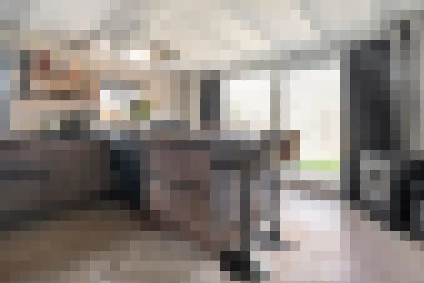 Nieuwewijk 51 a Dedemsvaart foto 3
