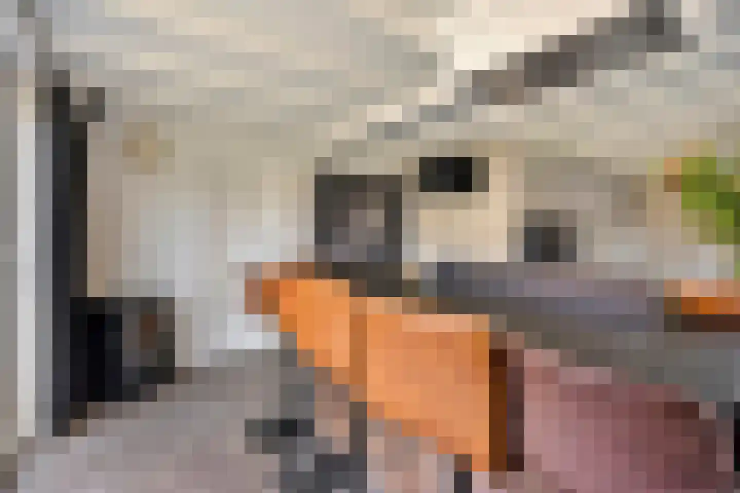 Nieuwewijk 51 a Dedemsvaart thumbnail 31